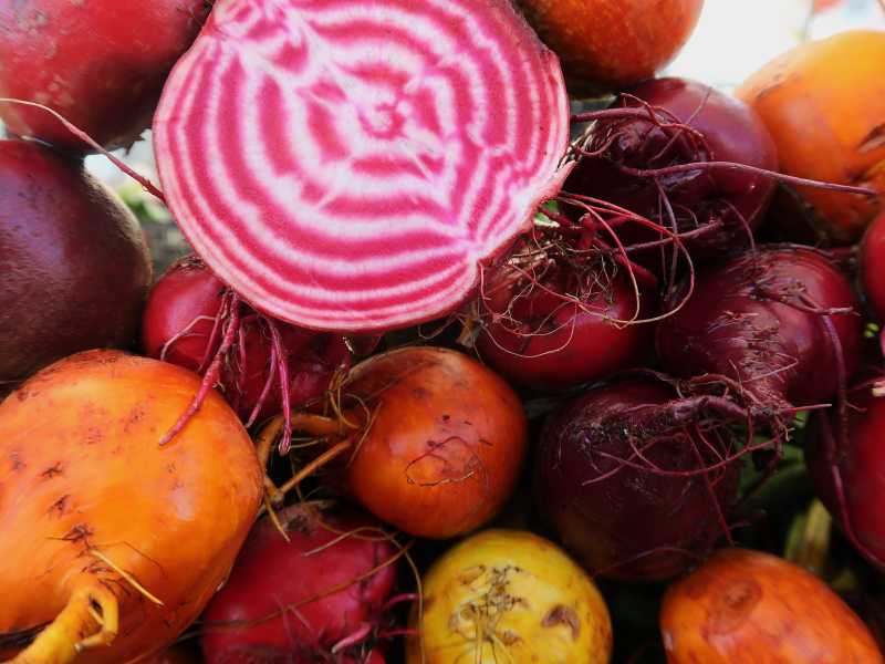 Le travail d’équipe triomphe